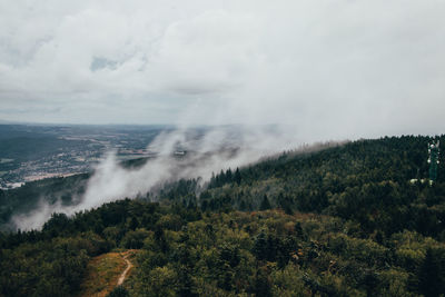 Evaporation of water from forests in bohemia. flowing fog at top of jested