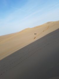 Scenic view of desert against sky