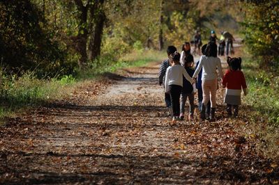 Rear view of men walking on dirt road in forest