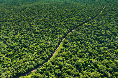 Aerial view of a road in the middle of the jungle, parana state, brazil