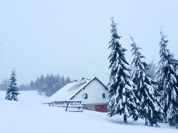 Remote house in the mountains surrounded by trees covered in snow