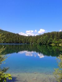 Reflection of trees in calm lake