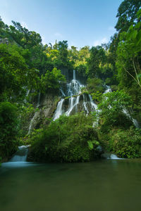 Scenic view of waterfall