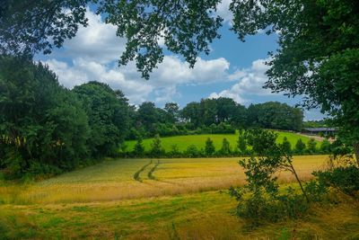 Scenic view of field against sky