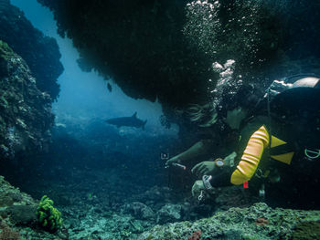 View of fish swimming in sea