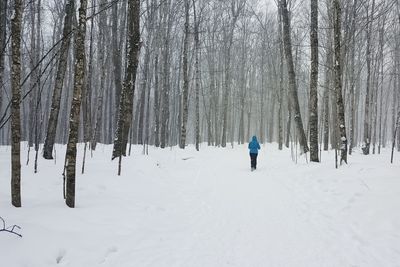 Rear view of man in snow covered forest