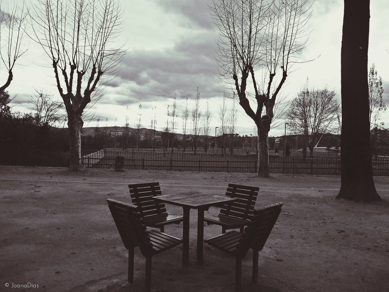 tree, empty, sky, chair, absence, bench, bare tree, table, tranquility, seat, cloud - sky, tree trunk, tranquil scene, nature, built structure, day, no people, branch, park - man made space, park bench
