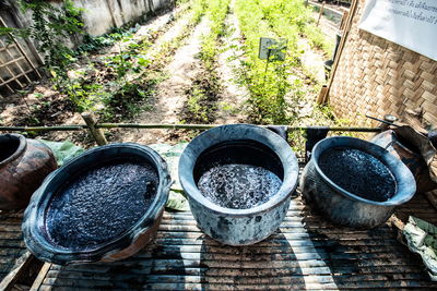 High angle view of potted plants in abandoned yard