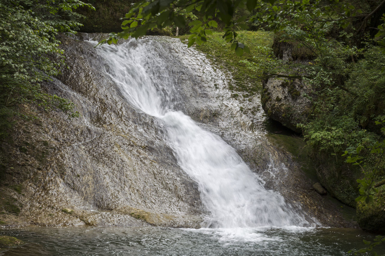 WATER FLOWING THROUGH ROCKS IN FOREST