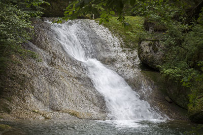 Scenic view of waterfall in forest