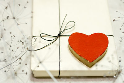 Close-up of heart shape made of red leaf