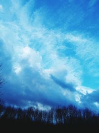 Low angle view of trees against blue sky