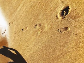 High angle view of footprints on sand