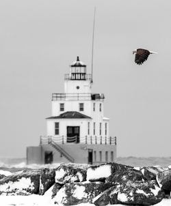 Bird flying over snow covered building