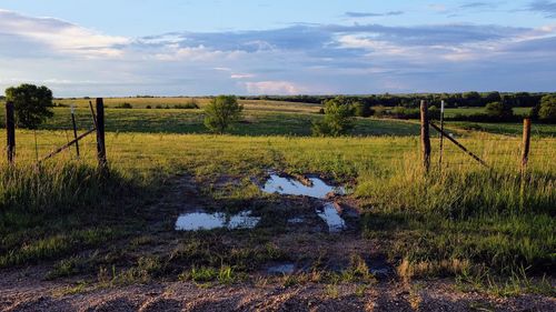 Scenic view of field against sky