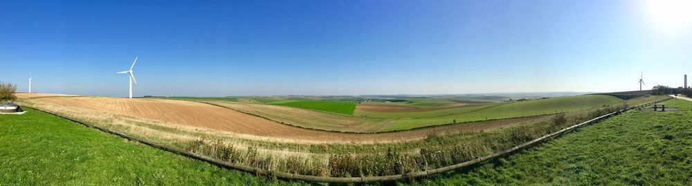 Scenic view of agricultural field against sky