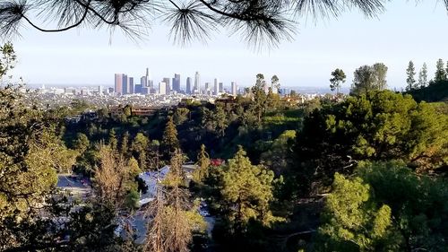 Panoramic view of trees and cityscape against clear sky