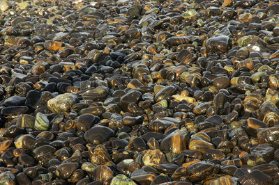 Full frame shot of pebbles on beach