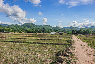 Scenic view of agricultural field against sky