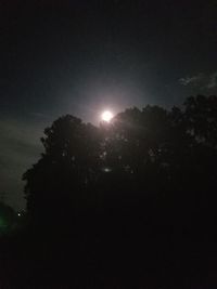 Low angle view of trees against sky