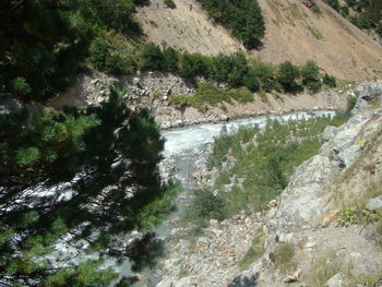 High angle view of river amidst trees