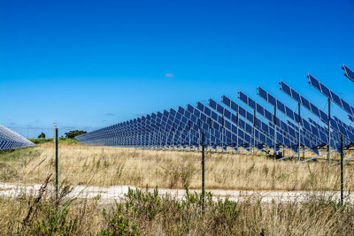 Scenic view of field against clear blue sky