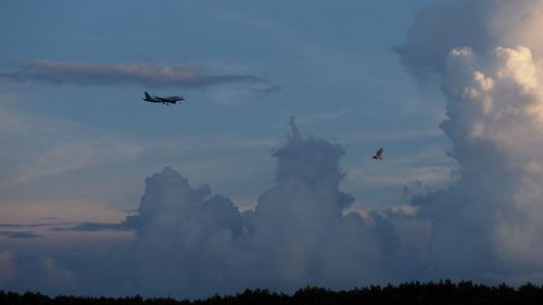 Low angle view of silhouette airplane against sky at sunset