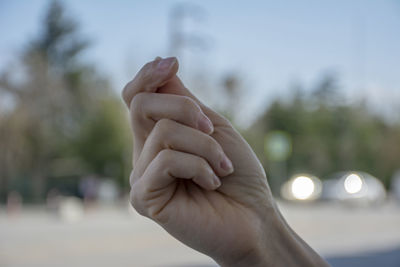 Close-up of man hand holding leaf