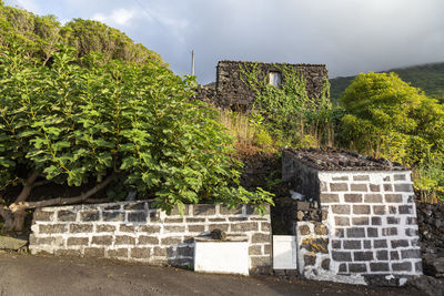 Built structure with plants in foreground