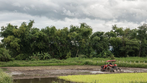 Scenic view of agricultural field against sky