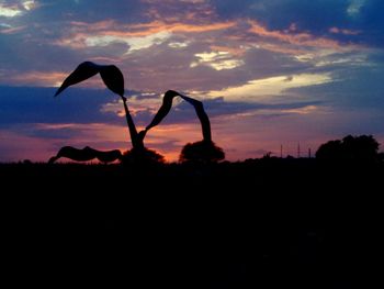 silhouette