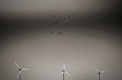 Low angle view of birds flying in sky