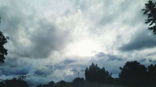 Low angle view of trees against sky