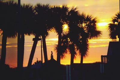 Silhouette of palm trees at sunset