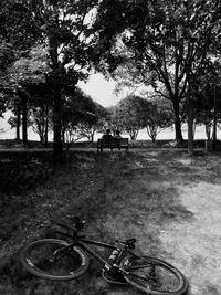 Bicycle parked by trees on field in park