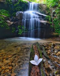 Scenic view of waterfall