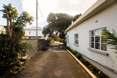 Houses by trees against sky