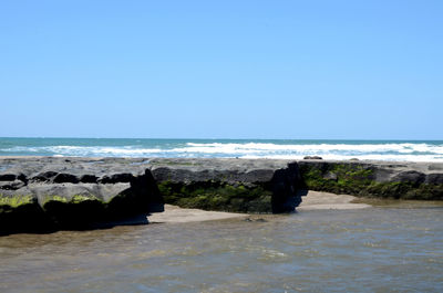 Scenic view of sea against clear blue sky
