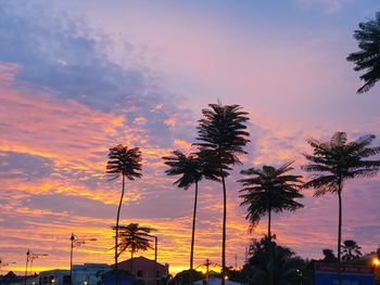 Low angle view of silhouette trees against sky during sunset