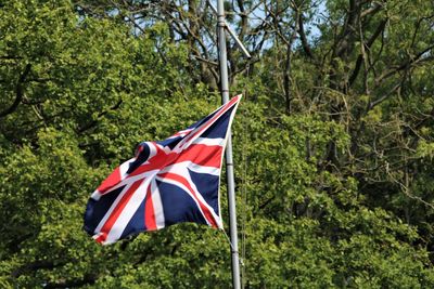 Union jack flag against trees