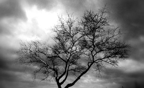 Low angle view of bare tree against sky