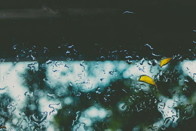 Rain drops on glass window