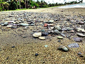 Surface level of pebbles on beach