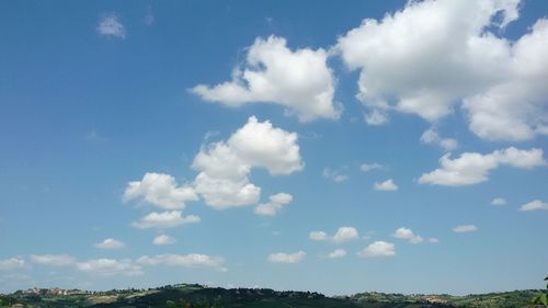 Trees against blue sky