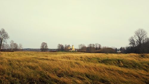 Scenic view of field against clear sky