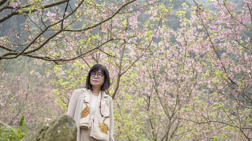 Portrait of young woman standing by cherry blossom tree