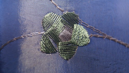 Close-up of leaf hanging on plant