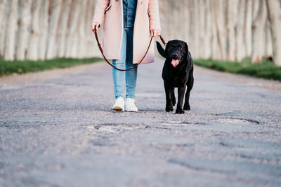 Low section of person with dog on footpath