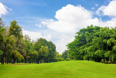 View of trees on landscape against sky