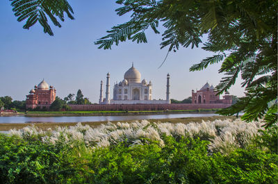 Taj mahal view from backside